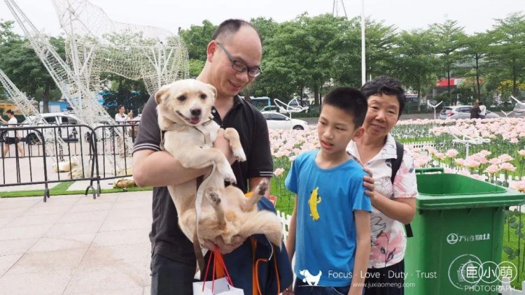 多图预警丨第五届佛山领养日柳晗青和你一起为流浪动物找家