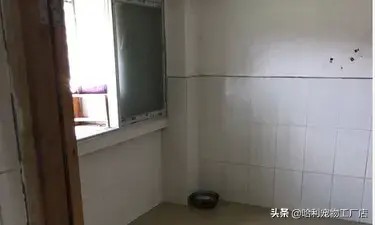 三只宠物狗在出租屋内离奇死亡，狗主人事先接到“投毒”警告